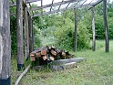 20100601 010